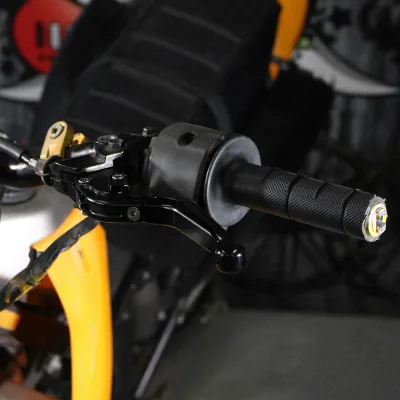 Kawasaki Versys X300 Clutch Brake Lever 2017-2023